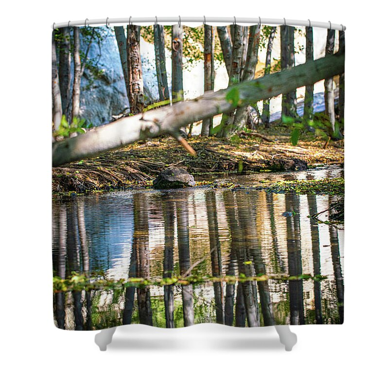 Abstract Shower Curtain featuring the photograph Waders by Ryan Weddle