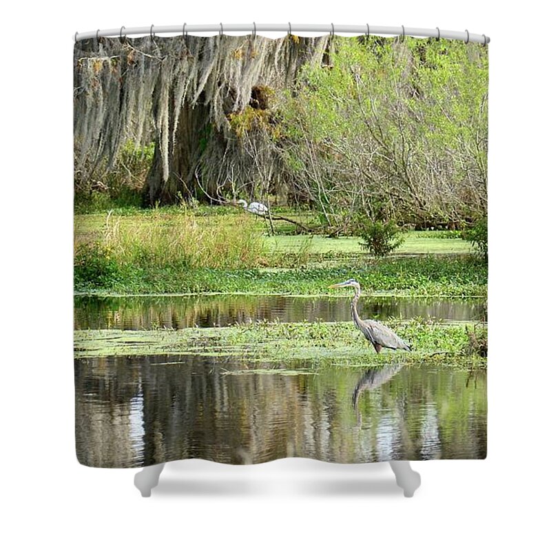 Marsh Shower Curtain featuring the photograph Wading Bird Way by Carol Bradley
