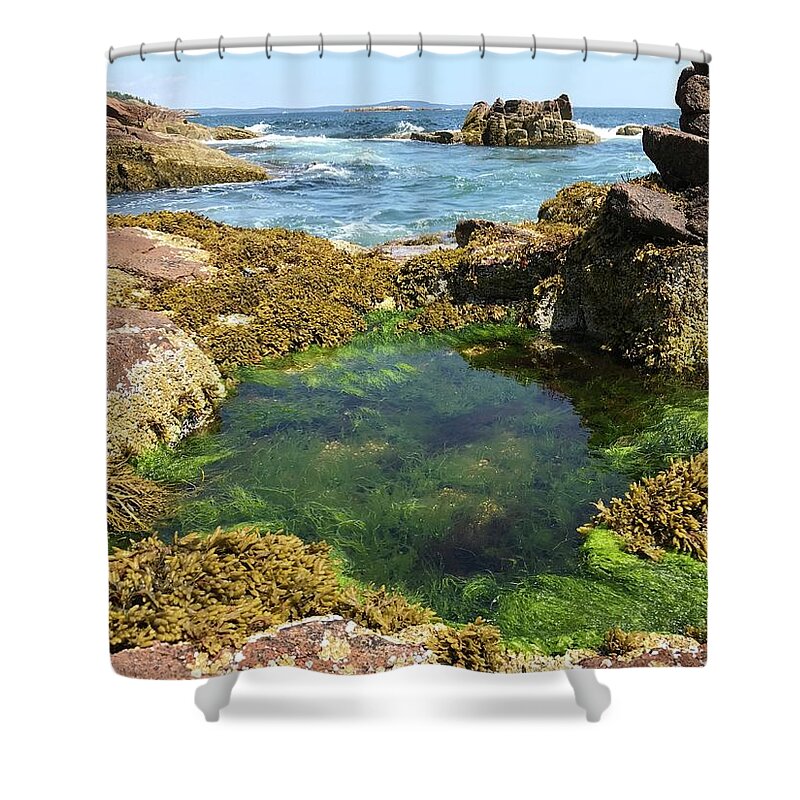 Ocean Shower Curtain featuring the photograph Wading Pool by Lee Darnell