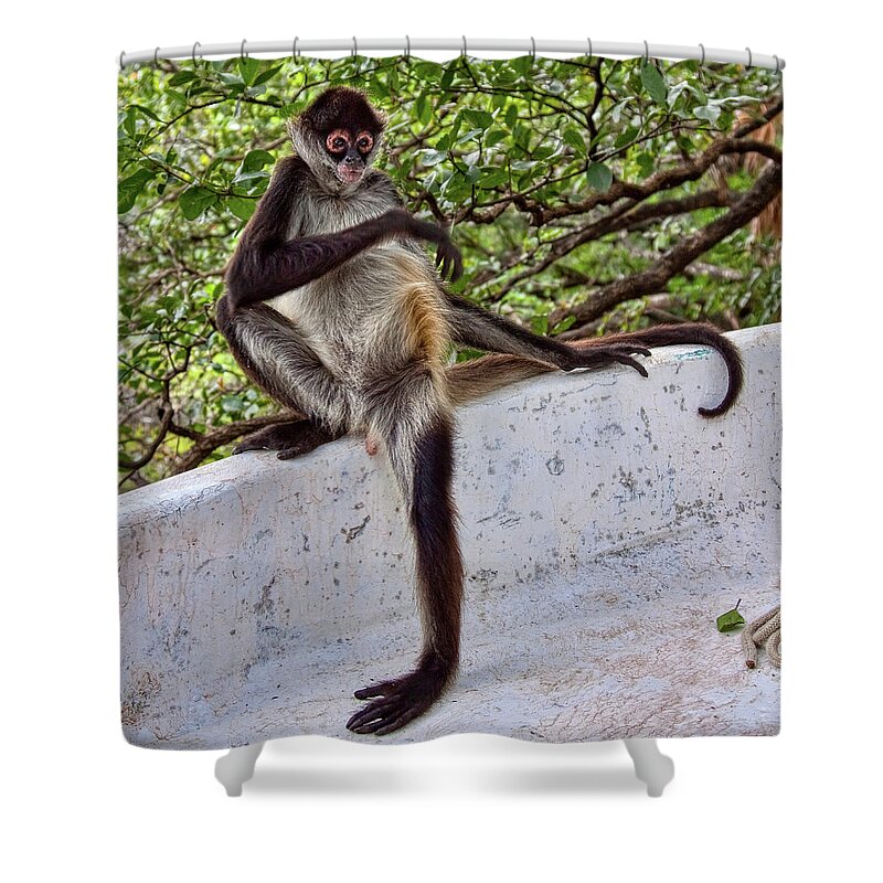 Belize Shower Curtain featuring the photograph Waiting for Godot by Tatiana Travelways