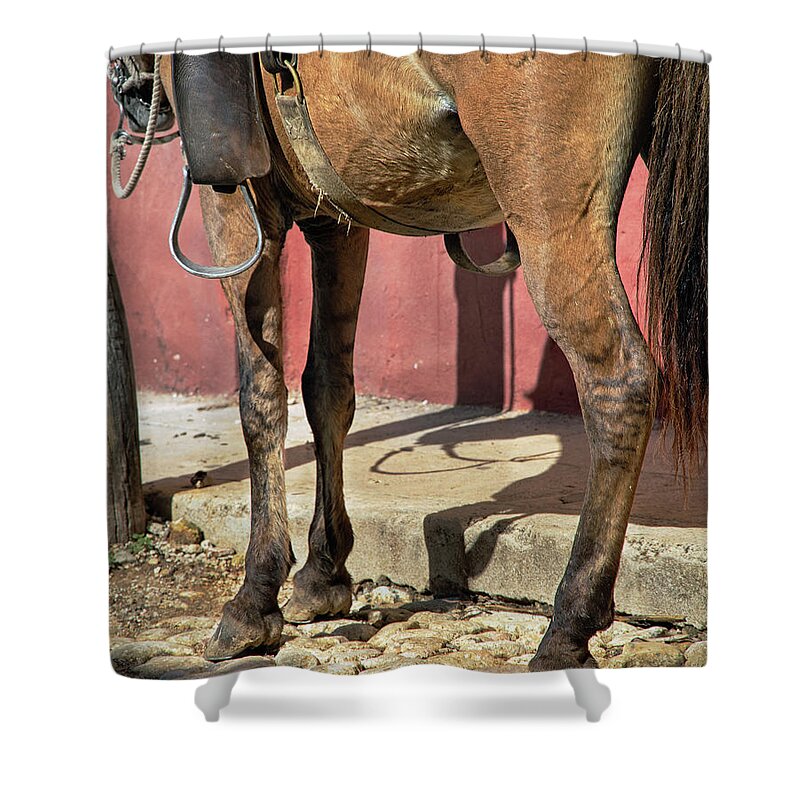 Horse Shower Curtain featuring the photograph Waiting by M Kathleen Warren