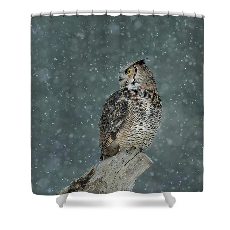 Waiting Out The Snowstorm Shower Curtain featuring the photograph Waiting Out the Snowstorm by CR Courson
