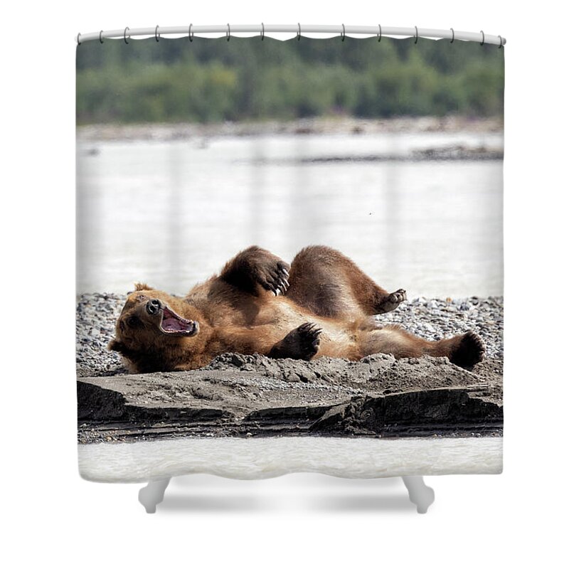 Alaska Shower Curtain featuring the photograph Waking up on the Sandbar by Cheryl Strahl
