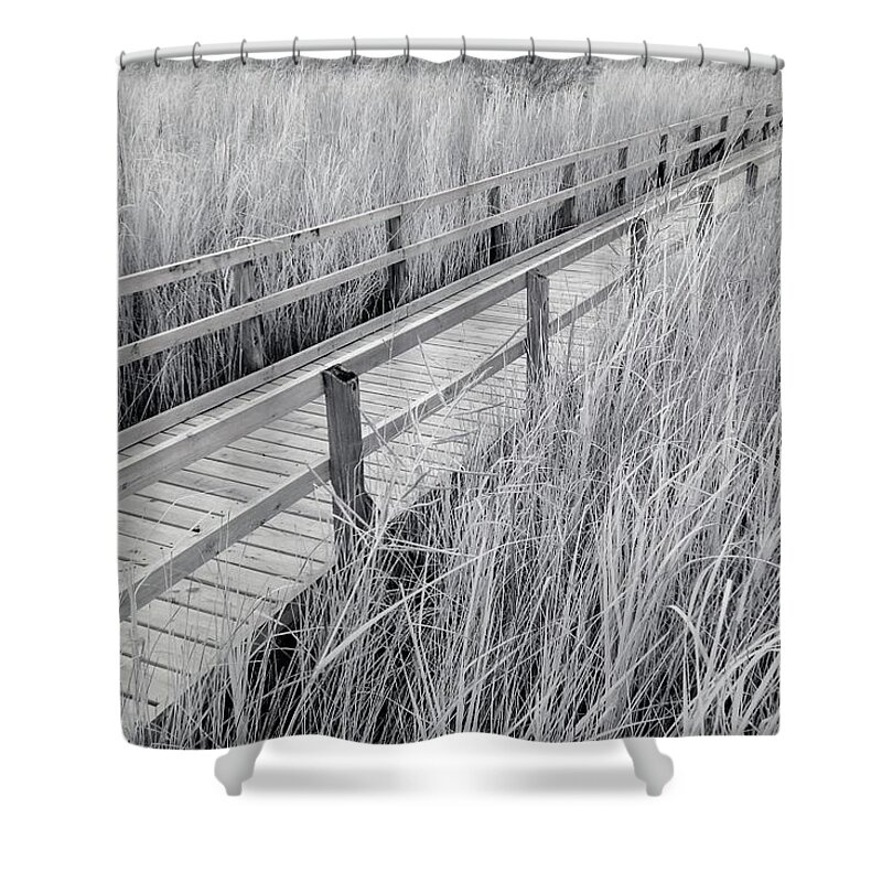Architecture Shower Curtain featuring the photograph Walk Through the Marsh Infrared by Liza Eckardt