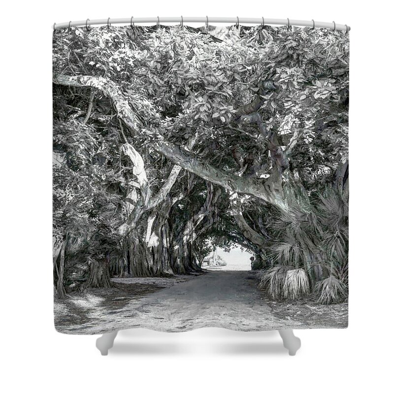 Banyan Tree Shower Curtain featuring the photograph Walk Under the Banyan Trees B W by Donna Kennedy