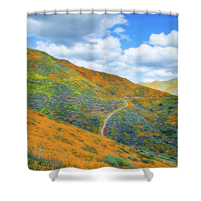 California Poppy Shower Curtain featuring the photograph Walker Canyon Super Bloom Portrait by Kyle Hanson