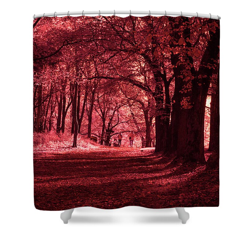 Forest Shower Curtain featuring the photograph Walking down an enchanted alley by Maria Dimitrova