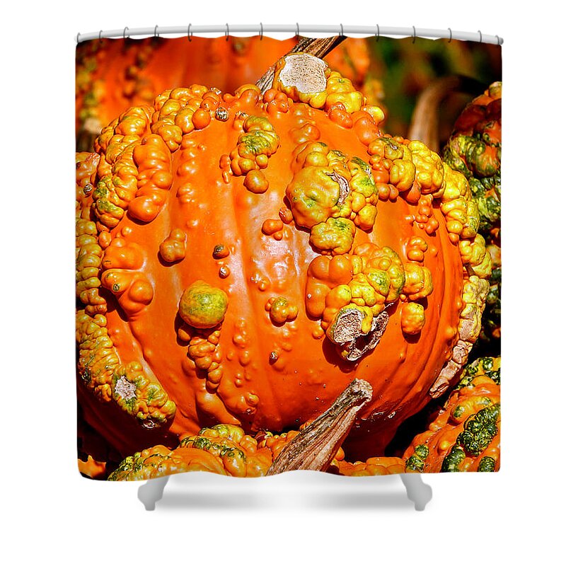 October Shower Curtain featuring the photograph Walking October by Ira Shander