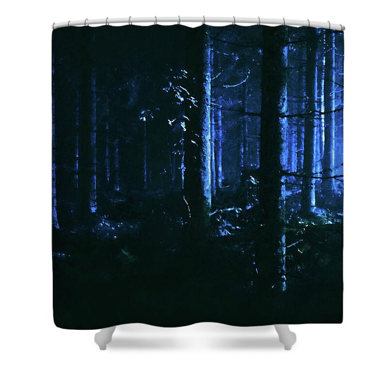 Dark Shower Curtain featuring the painting Walking through the Darkwood forest - 02 by AM FineArtPrints