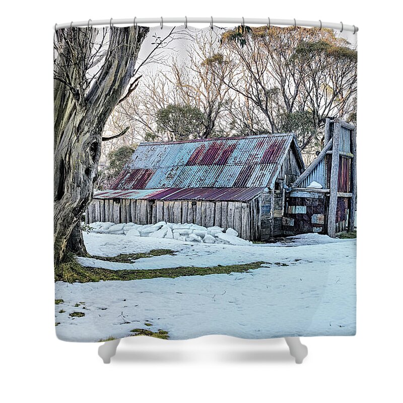 Wallaces Hut Winter High Plains Mountain Hut Shower Curtain featuring the photograph Wallaces Hut - Winter by Mark Lucey