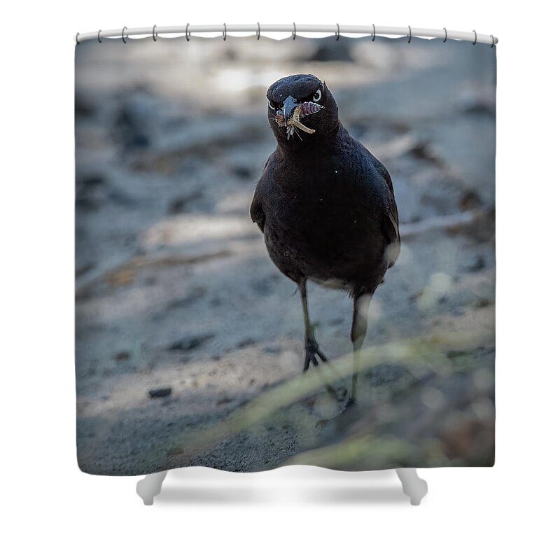Lahontan Shower Curtain featuring the photograph Want Some of This? by Rick Mosher
