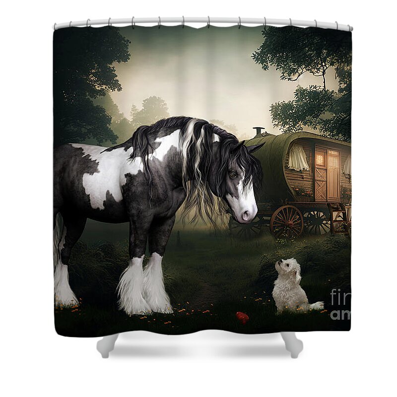 Gypsy Vanner Horse Shower Curtain featuring the digital art Want to Play by Shanina Conway