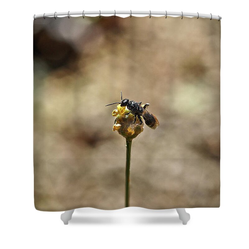 Wasp Shower Curtain featuring the photograph Wasp on a Bulb by WAZgriffin Digital