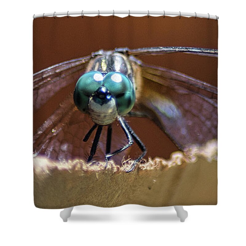 Insect Shower Curtain featuring the photograph Watched by a Dragonfly by Portia Olaughlin