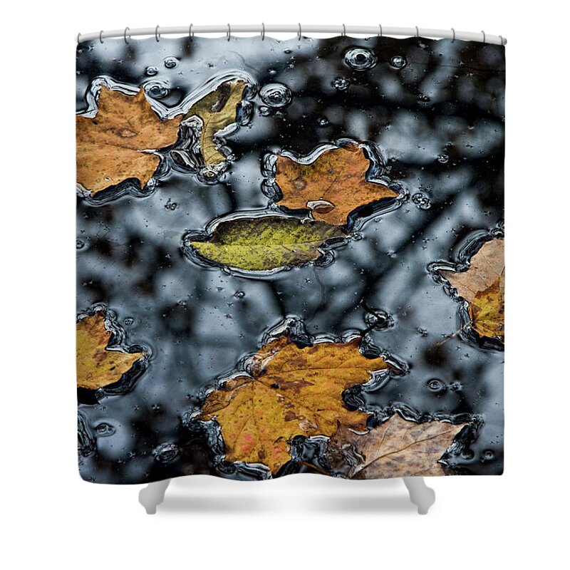 Water Shower Curtain featuring the photograph Water and Light 9 by Dawn J Benko