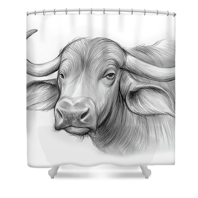 Pencil Shower Curtain featuring the drawing Water Buffalo by Greg Joens