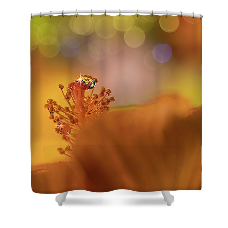 Water Drops Photography Shower Curtain featuring the photograph Water Drop on Orange Hibiscus by Lily Malor