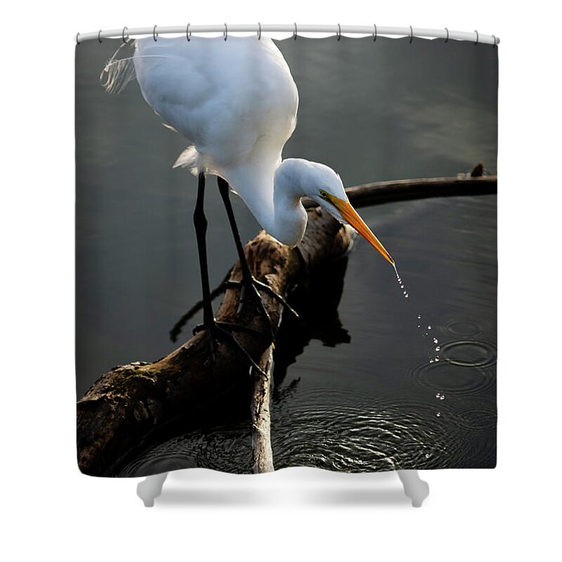  Shower Curtain featuring the photograph Water is Life by Quinn Sedam