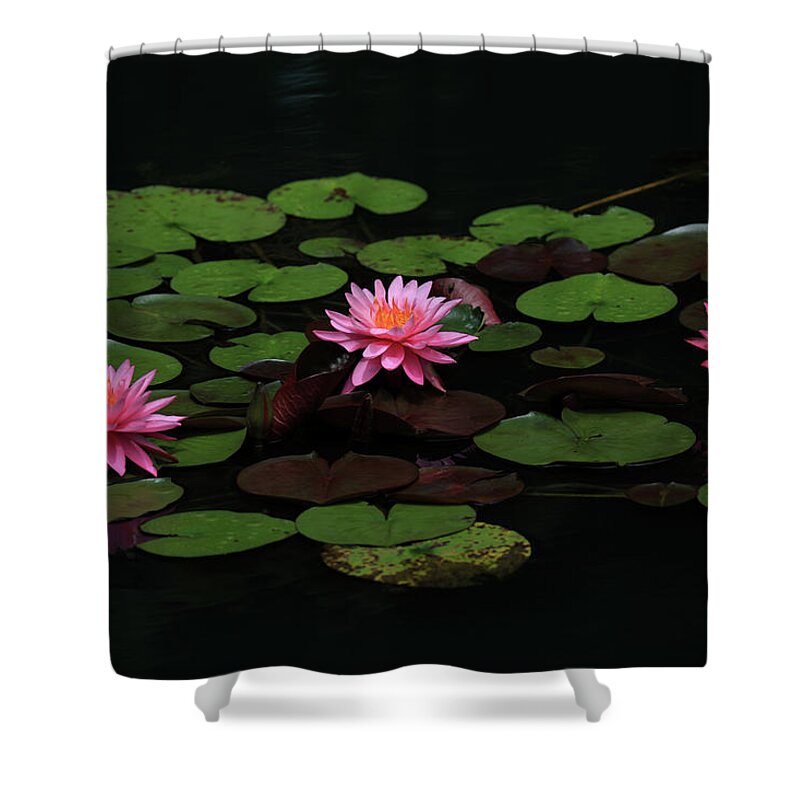 Water Lily Shower Curtain featuring the photograph Water Lilies 9 by Richard Krebs