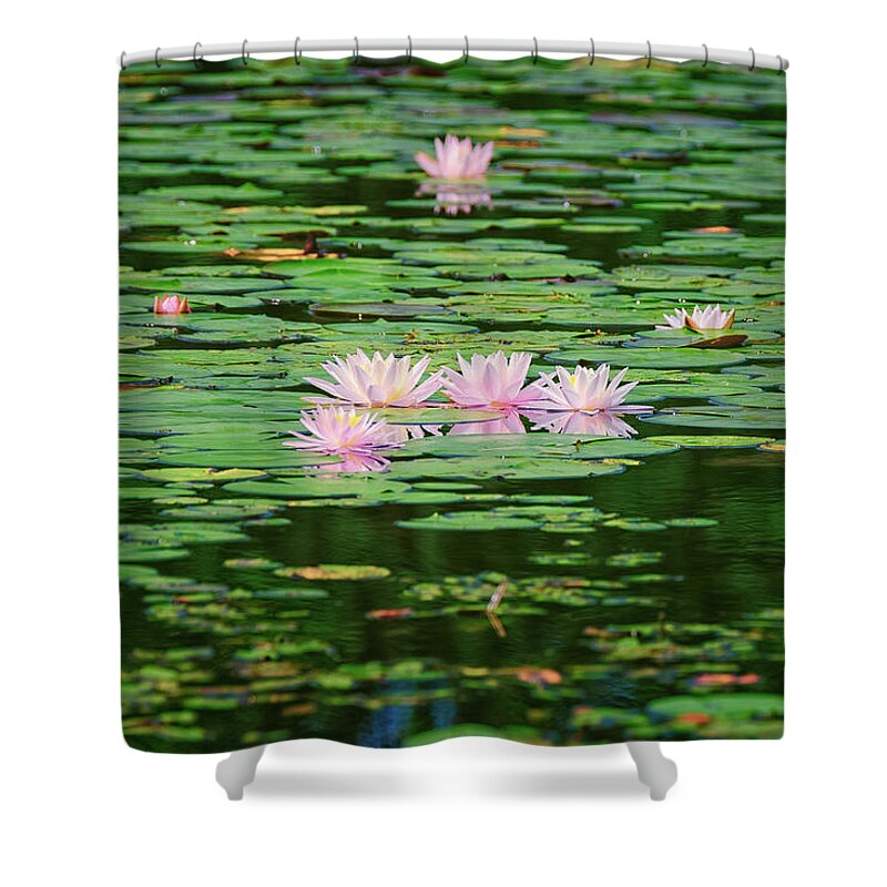 New Hampshire Shower Curtain featuring the photograph Water Lilies by Jeff Sinon