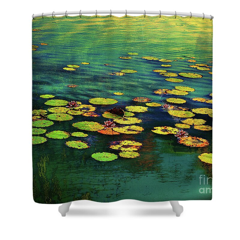 Water Shower Curtain featuring the photograph Water Lilies by John Anderson