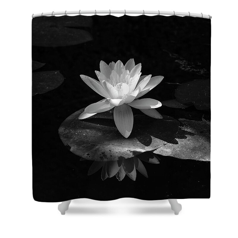 Botanic Shower Curtain featuring the photograph Water Lily in Black and White by Mary Lee Dereske