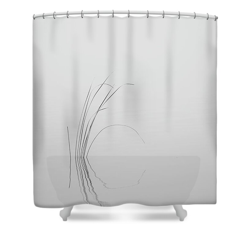 Black Shower Curtain featuring the photograph Water Reed in Black and White by Carolyn Hutchins