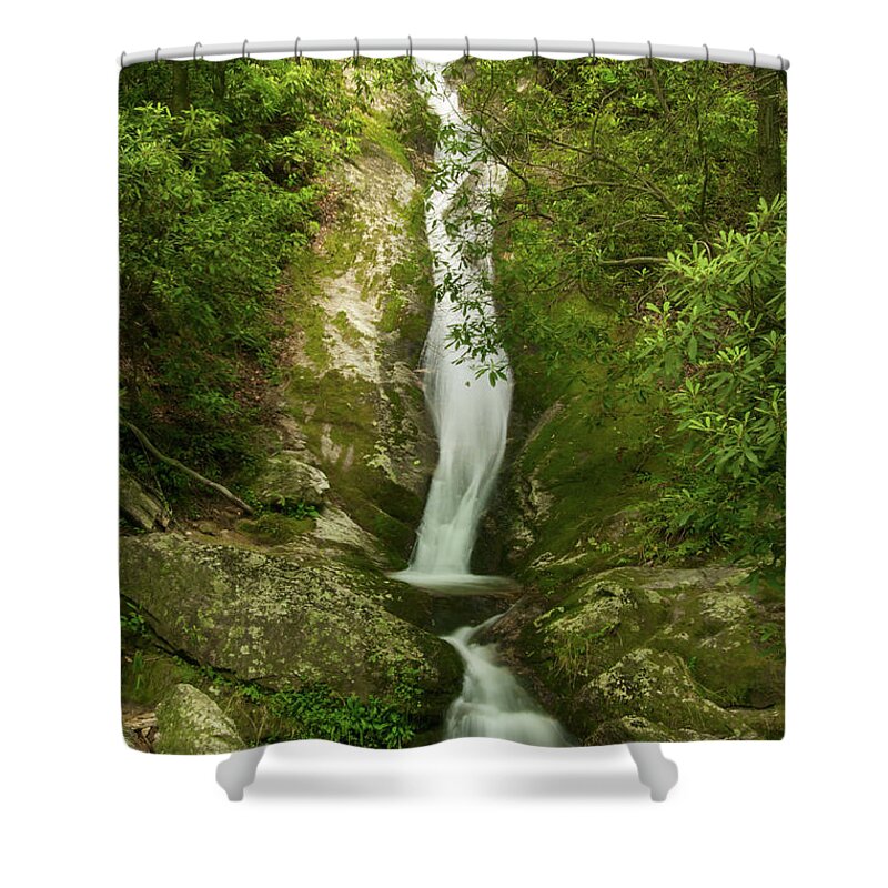 Waterfall Shower Curtain featuring the photograph Waterfall in the Forest by Melissa Southern