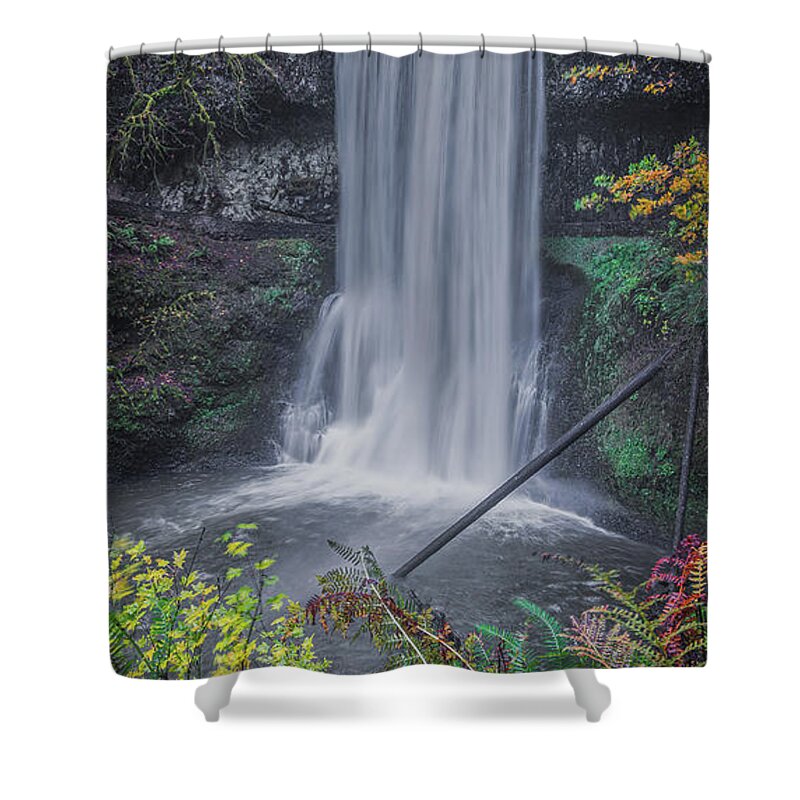 Forest Shower Curtain featuring the photograph Waterfall J 1x2 by Ryan Weddle