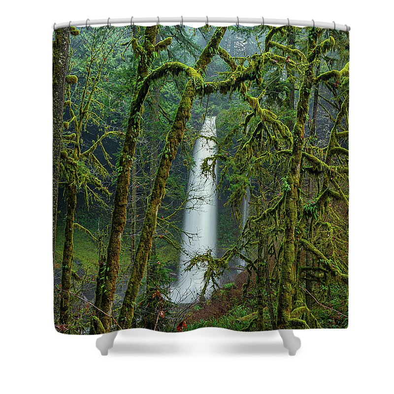  Shower Curtain featuring the photograph Waterfalls in the Oregon forest by Ulrich Burkhalter