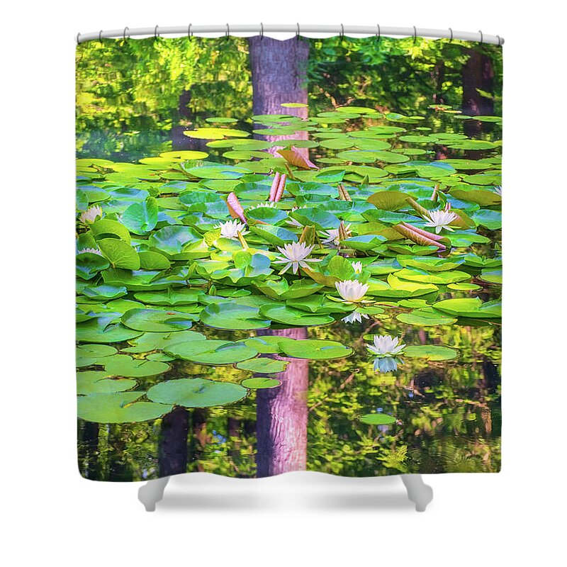 American White Water Lily Shower Curtain featuring the photograph Waterlilies and Tree Reflections by Marianne Campolongo