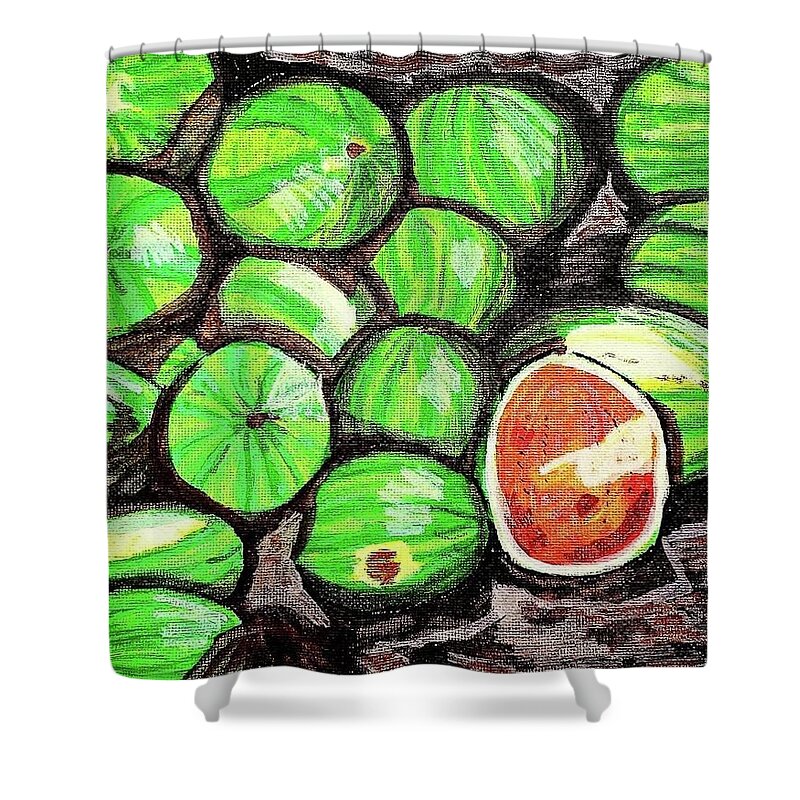 Watermelon Shower Curtain featuring the painting Watermelons by Amy Kuenzie