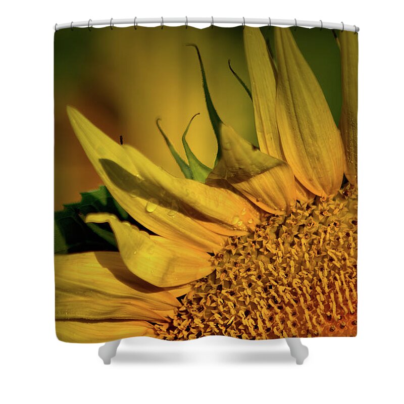 Plants Shower Curtain featuring the photograph Waving hello by Buddy Scott