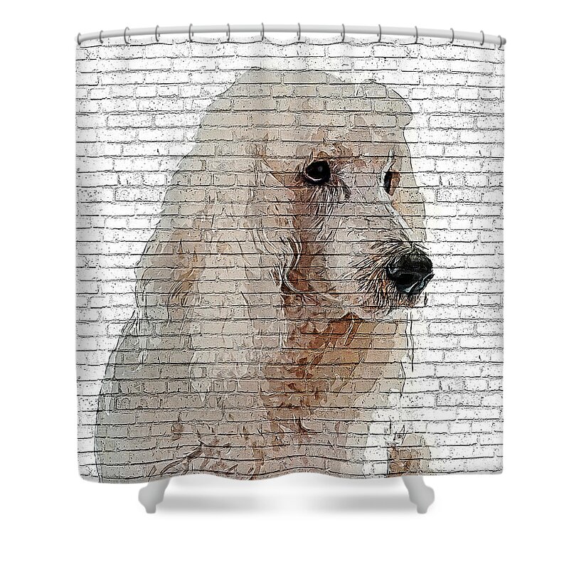 Standard Shower Curtain featuring the painting Way too cool, Standard Poodle Dog - Brick Block Background by Custom Pet Portrait Art Studio