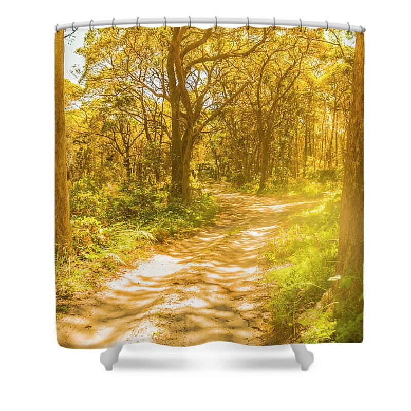 Photograph Shower Curtain featuring the photograph Waywoods by Jorgo Photography