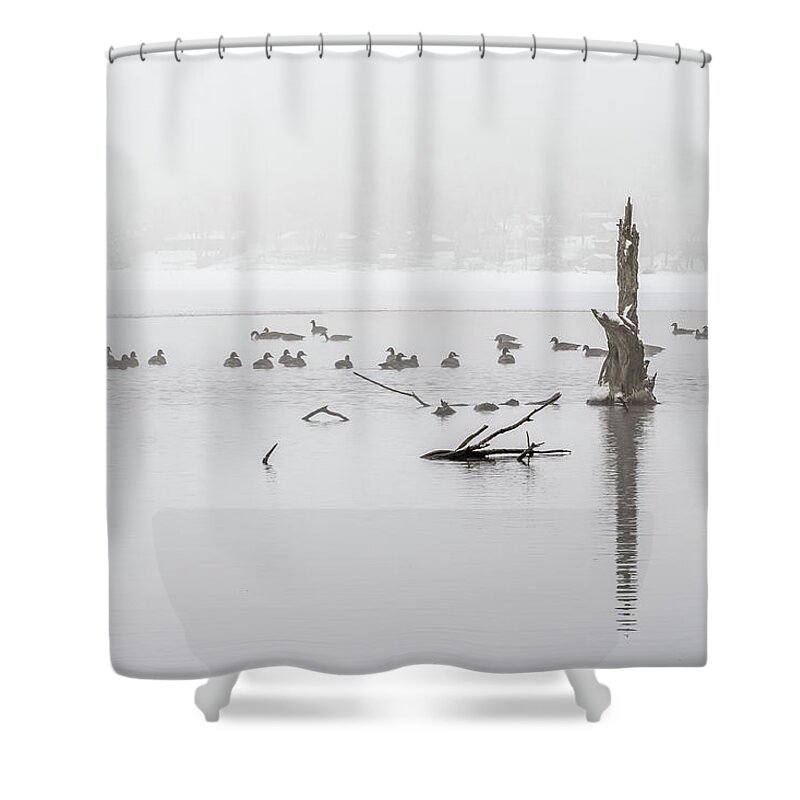 Fog Shower Curtain featuring the photograph We Flock Together by Paulette Marzahl