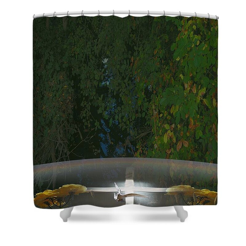 Digital Painting Shower Curtain featuring the photograph Well of Salvation by Richard Thomas