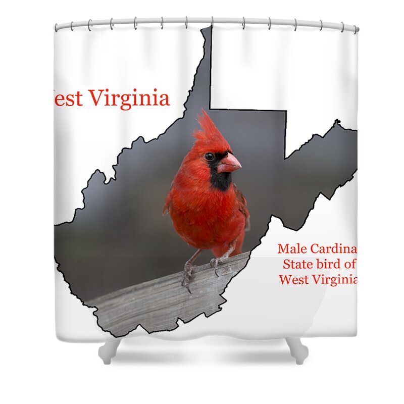 Cardinal Shower Curtain featuring the photograph West Virginia themed accessories by Daniel Friend