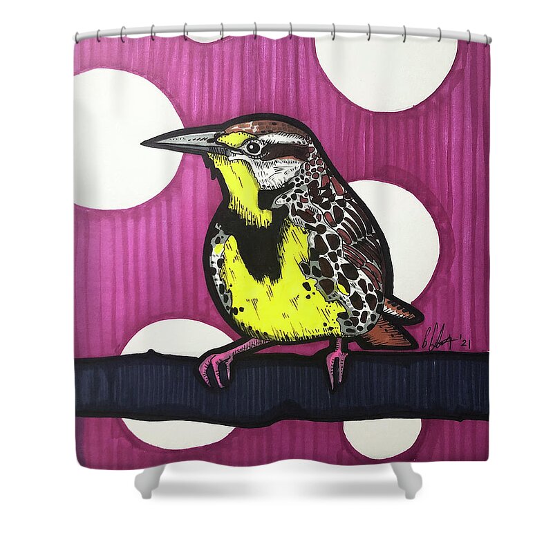 Western Meadowlark Shower Curtain featuring the drawing Western Meadowlark by Creative Spirit