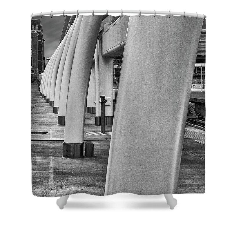 Architecture Shower Curtain featuring the photograph Whale Ribs by Tony Locke