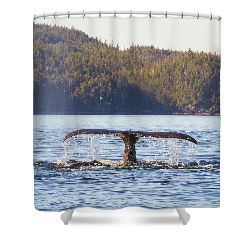 Whale Tale Shower Curtain featuring the photograph Whale Tale 2 by Michael Rauwolf