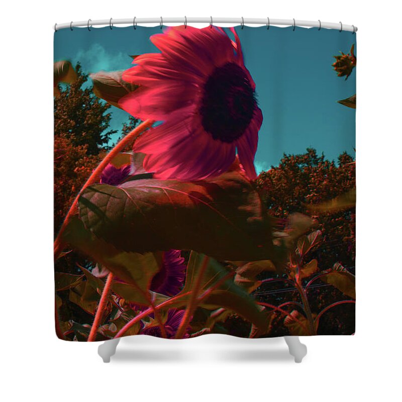 Sunflower Shower Curtain featuring the photograph What I did on my CoVid Vacation by Cynthia Dickinson