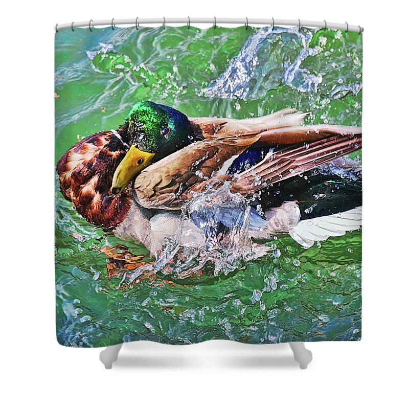 Duck Shower Curtain featuring the photograph What's wrong? by Tatiana Travelways