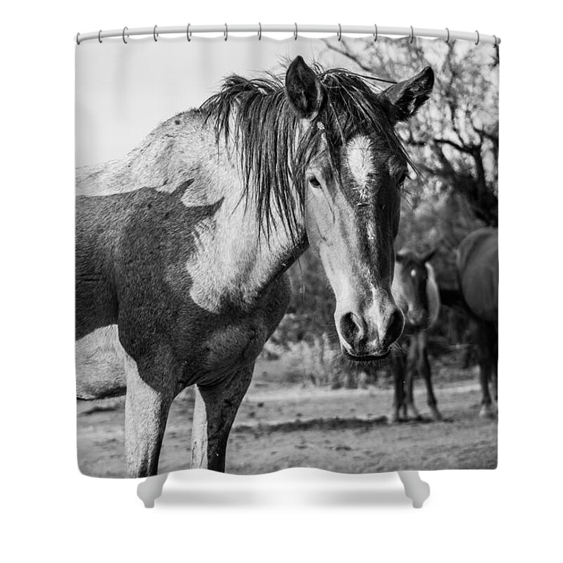 Horse Shower Curtain featuring the photograph Where the West is Wild by Bonny Puckett