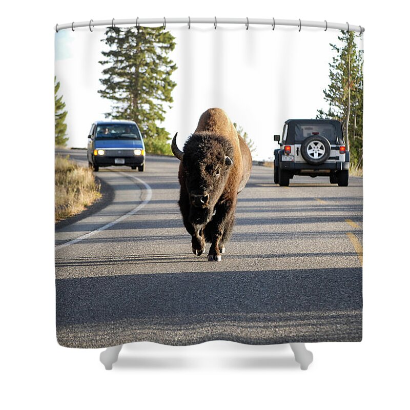 Buffalo Shower Curtain featuring the photograph Where The Buffalo Roam - Bison, Yellowstone National Park, Wyoming by Earth And Spirit