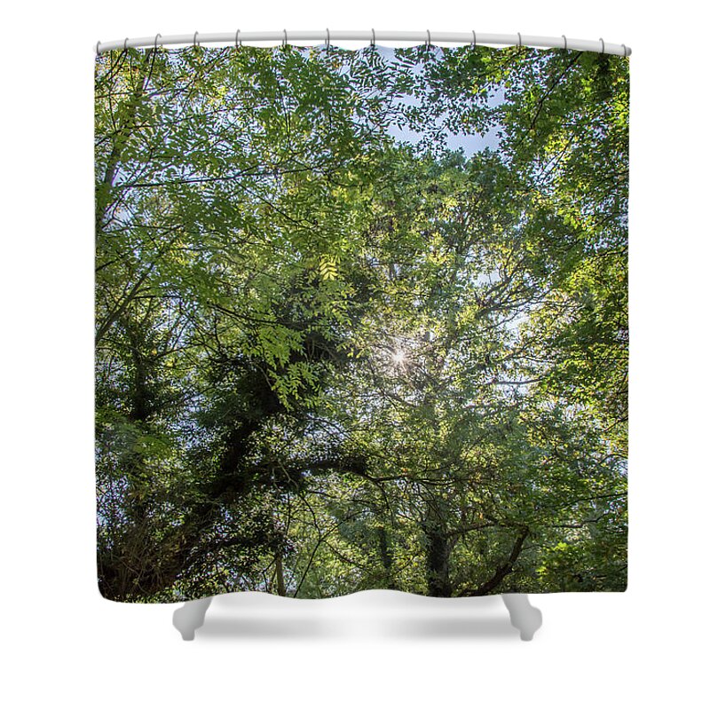 Whetstone Stray Shower Curtain featuring the photograph Whetstone Stray Trees Fall 1 by Edmund Peston