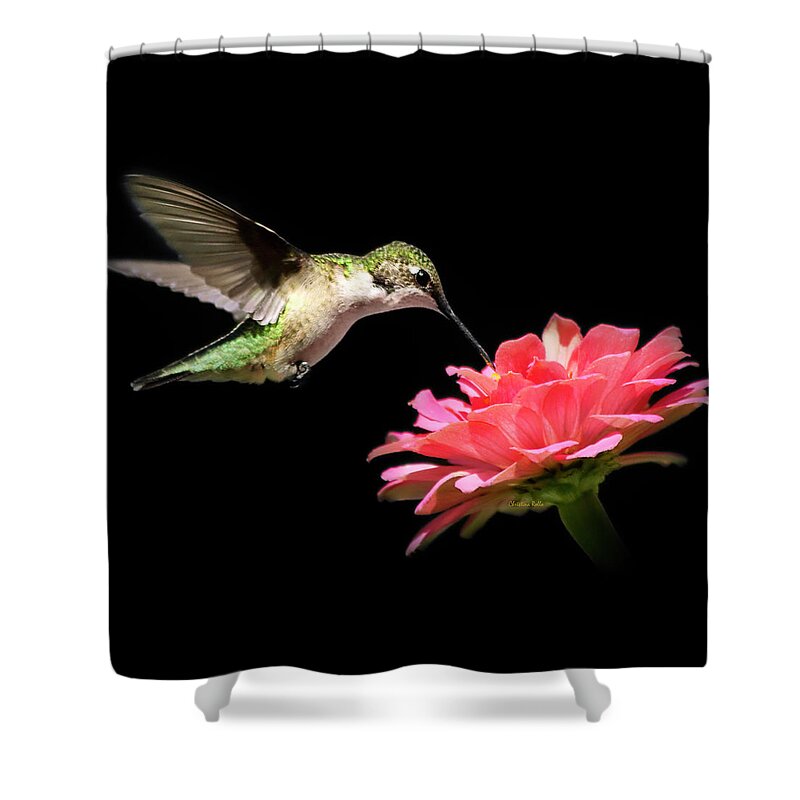 Hummingbirds Shower Curtain featuring the photograph Whispering Hummingbird Square by Christina Rollo