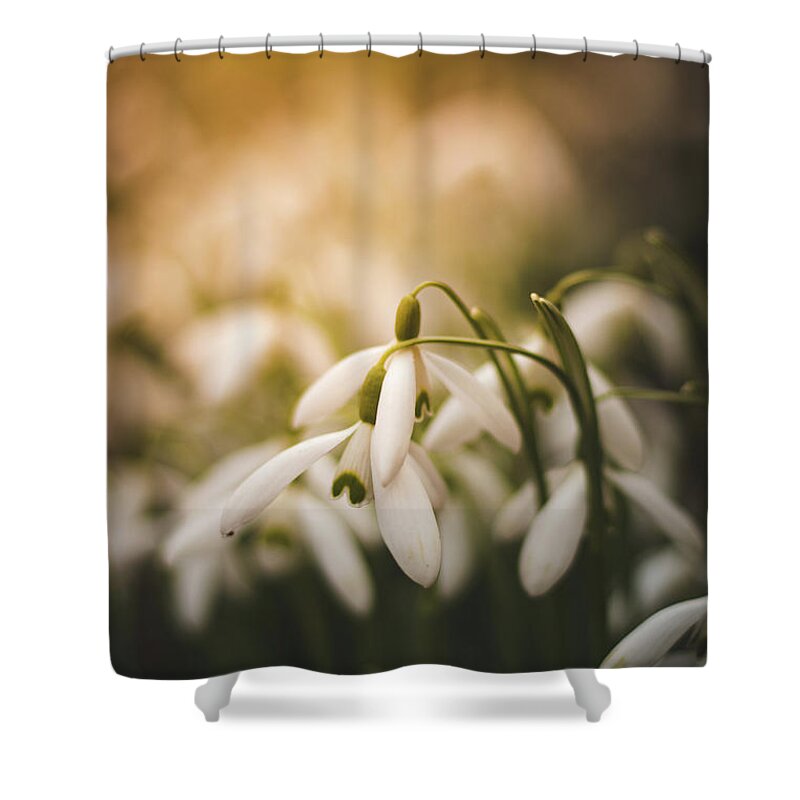 Europe Shower Curtain featuring the photograph White common snowdrop - prank of nature by Vaclav Sonnek