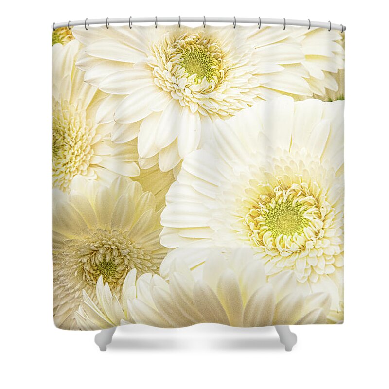  Shower Curtain featuring the photograph White Flower Bouquet by Marilyn Cornwell