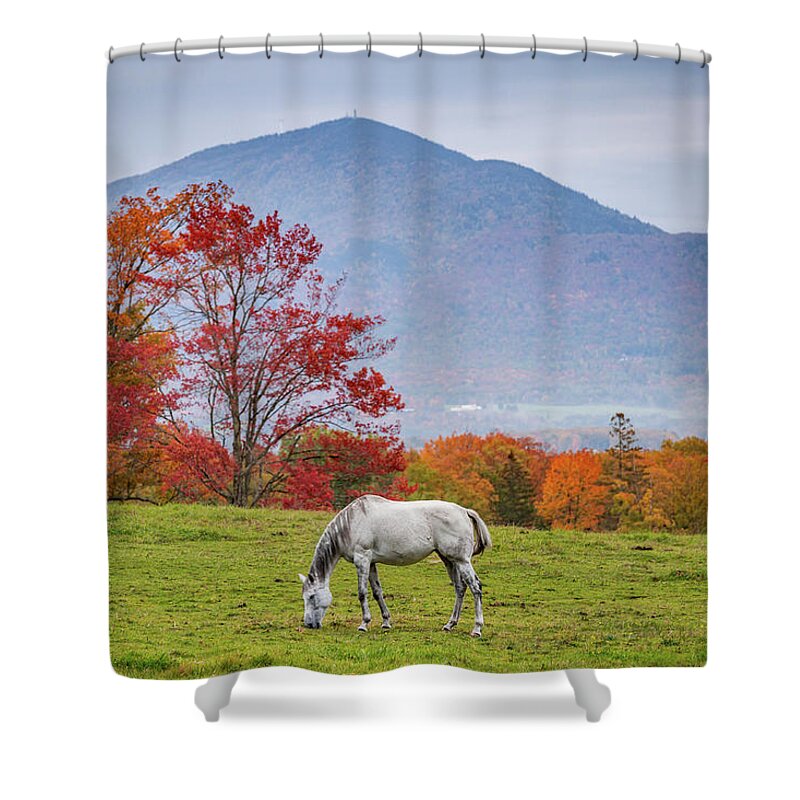Vermont Shower Curtain featuring the photograph White Horse in Fall by Tim Kirchoff